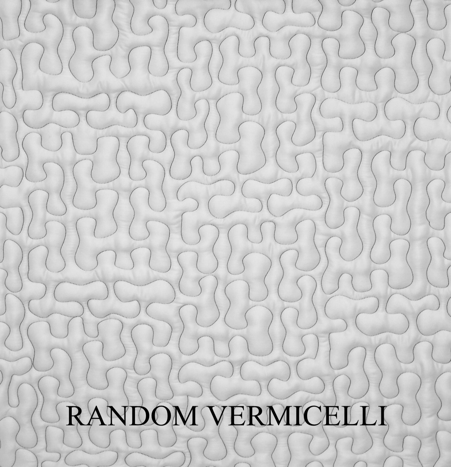 Random Vermicelli Quilting
